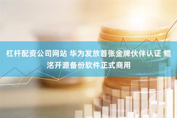 杠杆配资公司网站 华为发放首张金牌伙伴认证 鲲洺开源备份软件正式商用