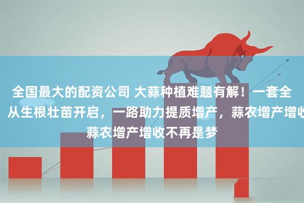 全国最大的配资公司 大蒜种植难题有解！一套全周期方案，从生根壮苗开启，一路助力提质增产，蒜农增产增收不再是梦